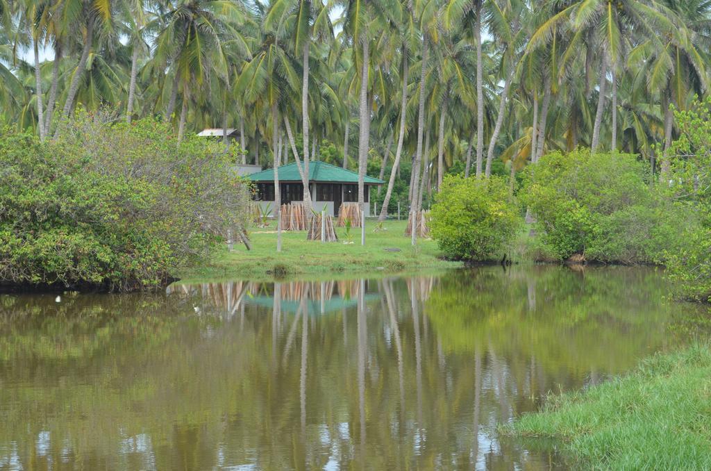 Aqua Front Yala Resort Киринда Екстериор снимка