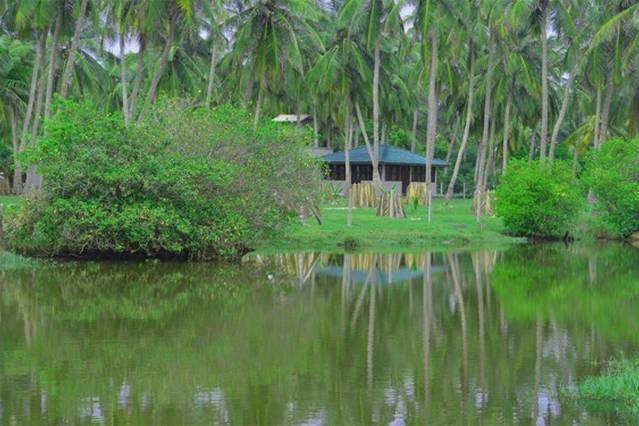 Aqua Front Yala Resort Киринда Екстериор снимка